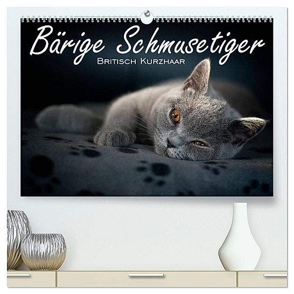 Bärige Schmusetiger - Britisch Kurzhaar / CH-Version (hochwertiger Premium Wandkalender 2024 DIN A2 quer), Kunstdruck in Hochglanz, Inge Zimmermann-Probst