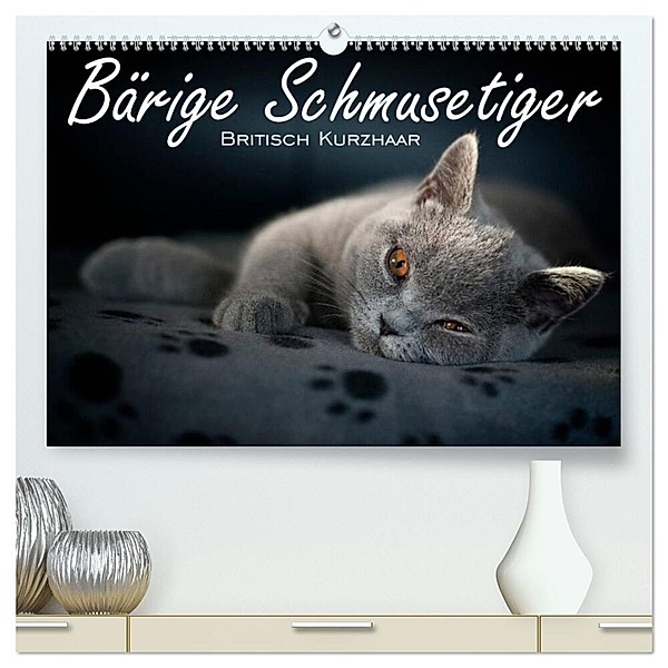 Bärige Schmusetiger - Britisch Kurzhaar (hochwertiger Premium Wandkalender 2024 DIN A2 quer), Kunstdruck in Hochglanz, Inge Zimmermann-Probst