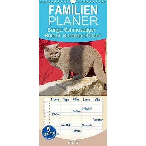 Bärige Schmusetiger - Britisch Kurzhaar Katzen - Familienplaner hoch (Wandkalender 2020 , 21 cm x 45 cm, hoch), Verena Scholze