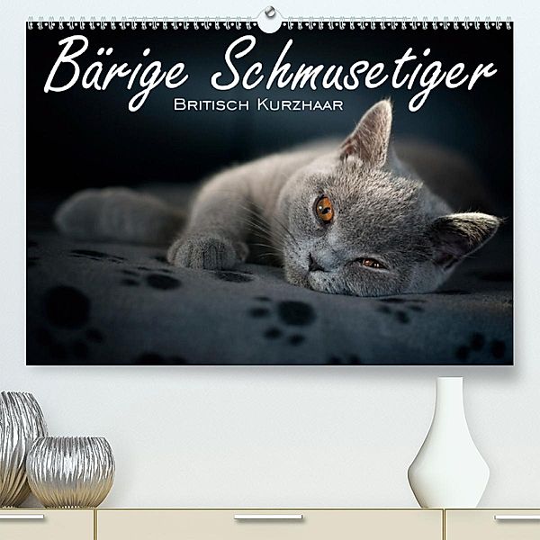 Bärige Schmusetiger - Britisch Kurzhaar(Premium, hochwertiger DIN A2 Wandkalender 2020, Kunstdruck in Hochglanz), Inge Zimmermann-Probst