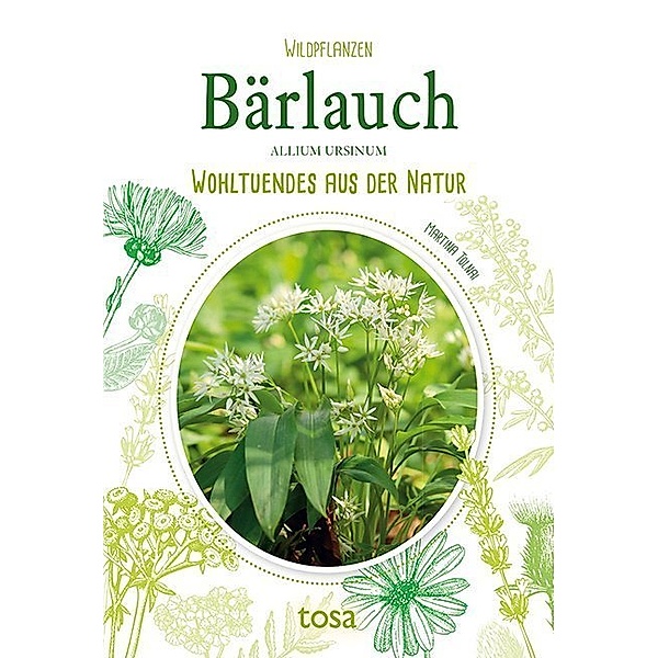 Bärlauch - Allium Ursinum, Martina Tolnai