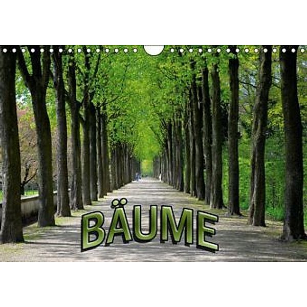 Bäume 2016 (Wandkalender 2016 DIN A4 quer), Bildagentur Geduldig