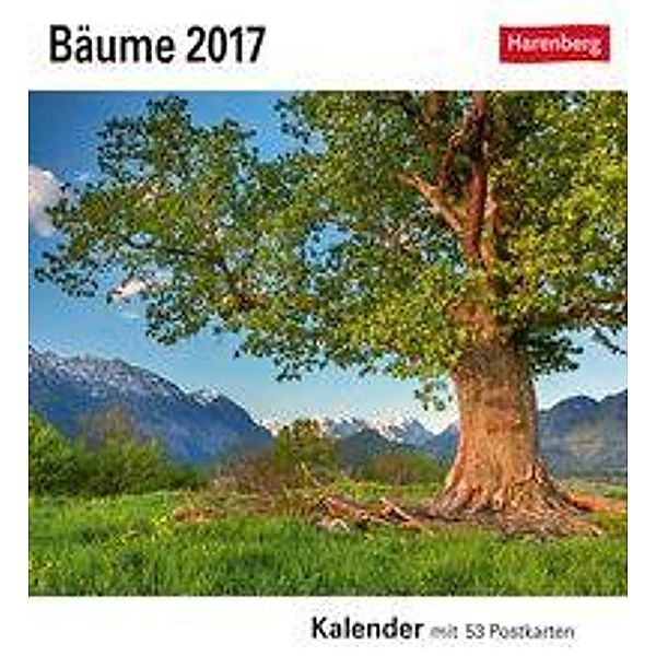 Bäume 2017