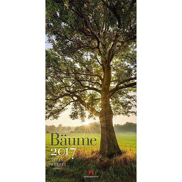 Bäume 2017