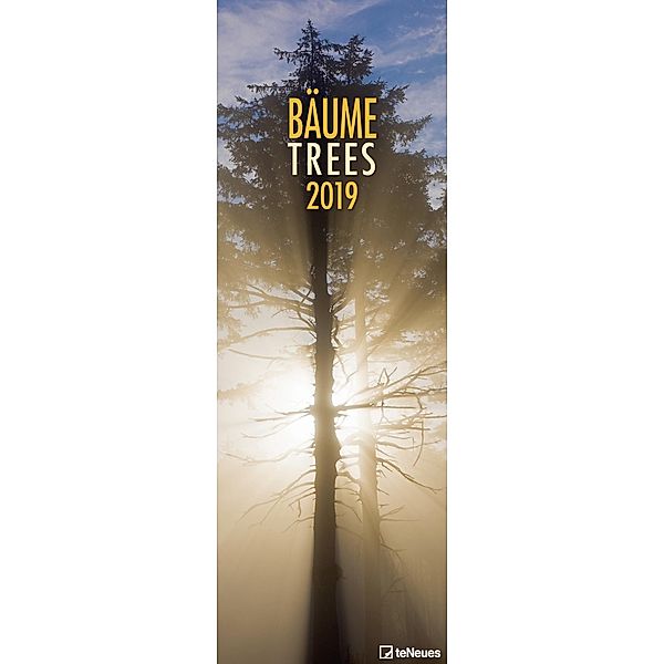 Bäume 2019