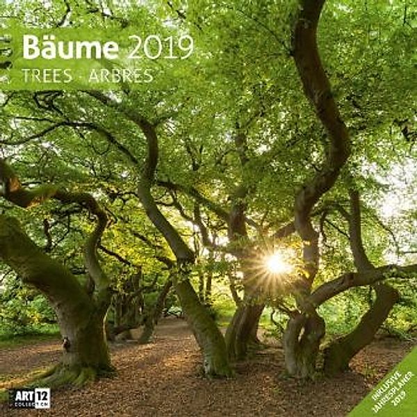 Bäume 2019