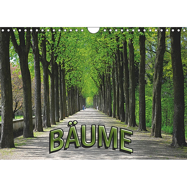 Bäume 2019 (Wandkalender 2019 DIN A4 quer), Bildagentur Geduldig