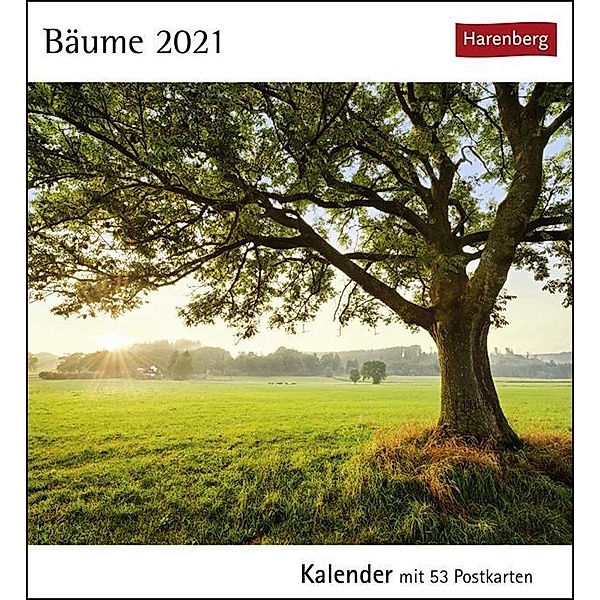 Bäume 2020