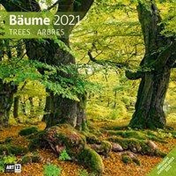 Bäume 2021
