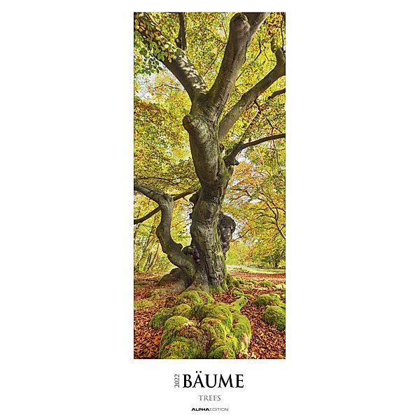 Bäume 2022 - Streifenkalender XXL 25x69 cm - Bildkalender im Hochformat - Wandplaner - Wandkalender - Bäumekalender