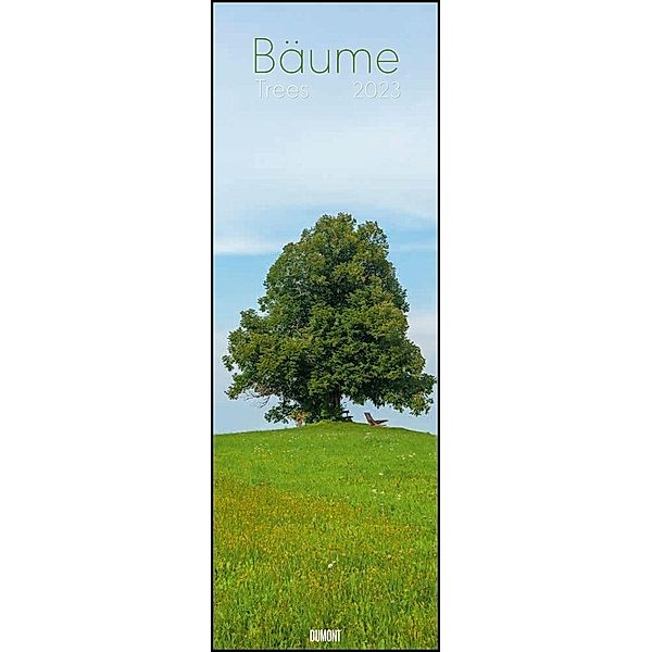 Bäume 2023 - Foto-Kalender - Wand-Kalender - King-Size - 34x98