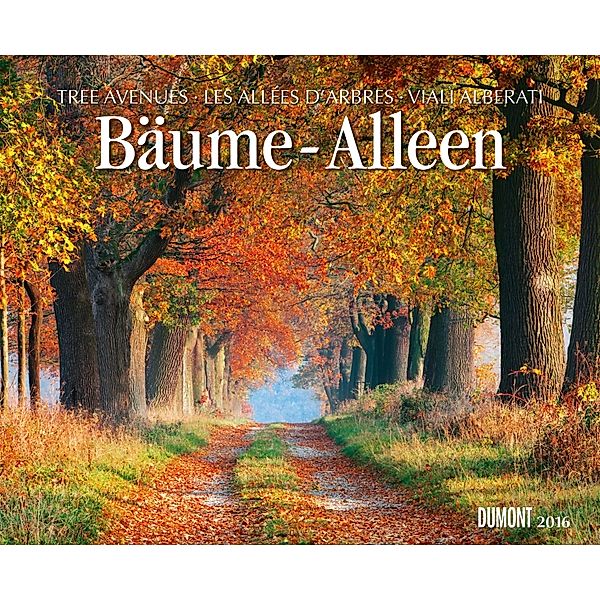 Bäume - Alleen, Fotokunst-Kalender 2016