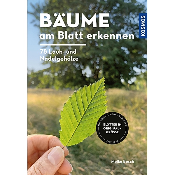 Bäume am Blatt erkennen - 78 Laub- und Nadelgehölze. Blätter in Originalgröße, Meike Bosch