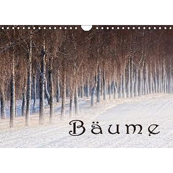 Bäume / AT-Version (Wandkalender 2015 DIN A4 quer), Martina Cross