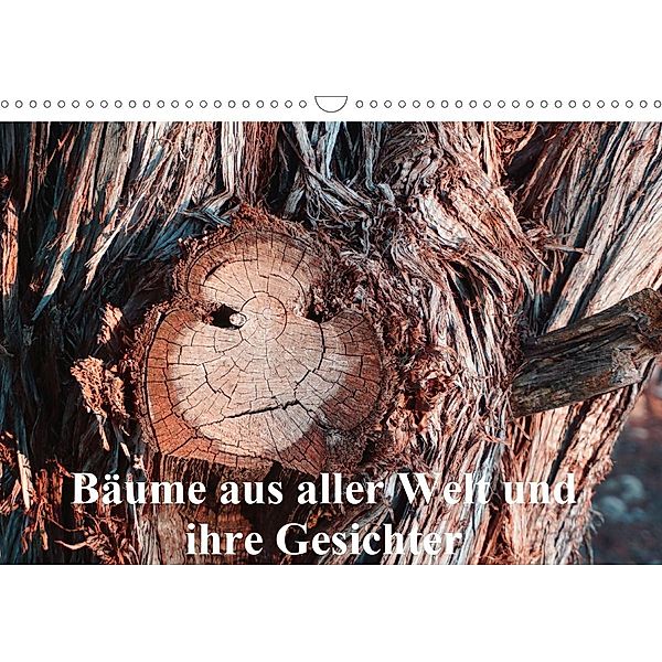 Bäume aus aller Welt und ihre Gesichter (Wandkalender 2021 DIN A3 quer), Andreas Struve