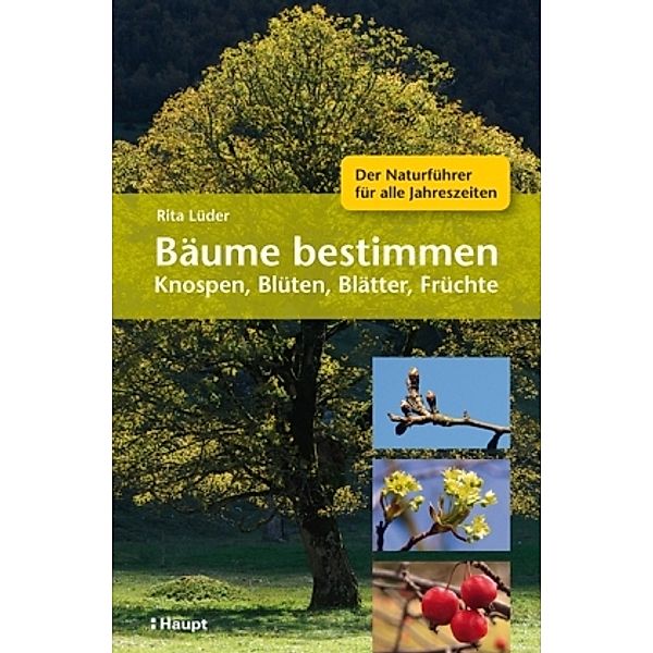 Bäume bestimmen, Rita Lüder