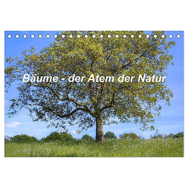 Bäume, der Atem der Natur (Tischkalender 2024 DIN A5 quer), CALVENDO Monatskalender, Christine Wirges