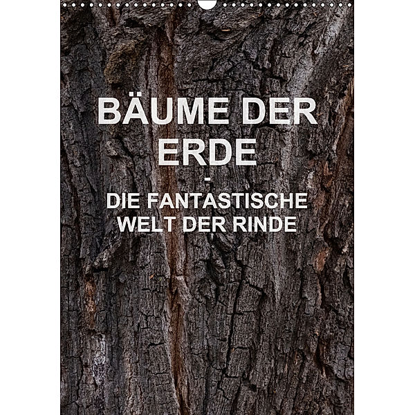 BÄUME DER ERDE - DIE FANTASTISCHE WELT DER RINDE (Wandkalender 2018 DIN A3 hoch), Martin Schreiter