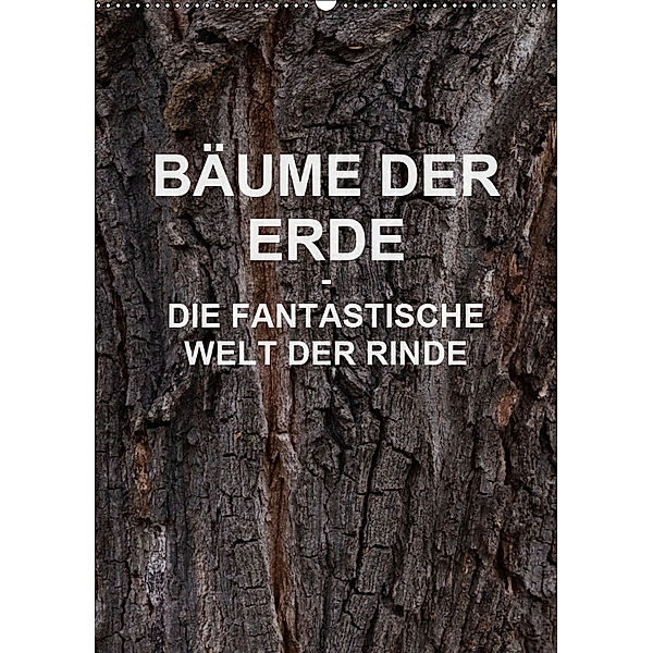 BÄUME DER ERDE - DIE FANTASTISCHE WELT DER RINDE (Wandkalender 2019 DIN A2 hoch), Martin Schreiter