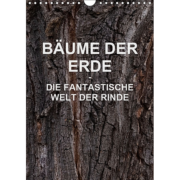 BÄUME DER ERDE - DIE FANTASTISCHE WELT DER RINDE (Wandkalender 2019 DIN A4 hoch), Martin Schreiter