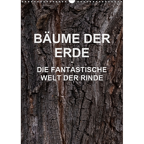 BÄUME DER ERDE - DIE FANTASTISCHE WELT DER RINDE (Wandkalender 2019 DIN A3 hoch), Martin Schreiter