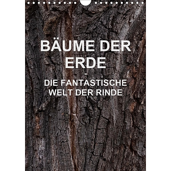 BÄUME DER ERDE - DIE FANTASTISCHE WELT DER RINDE (Wandkalender 2021 DIN A4 hoch), Martin Schreiter