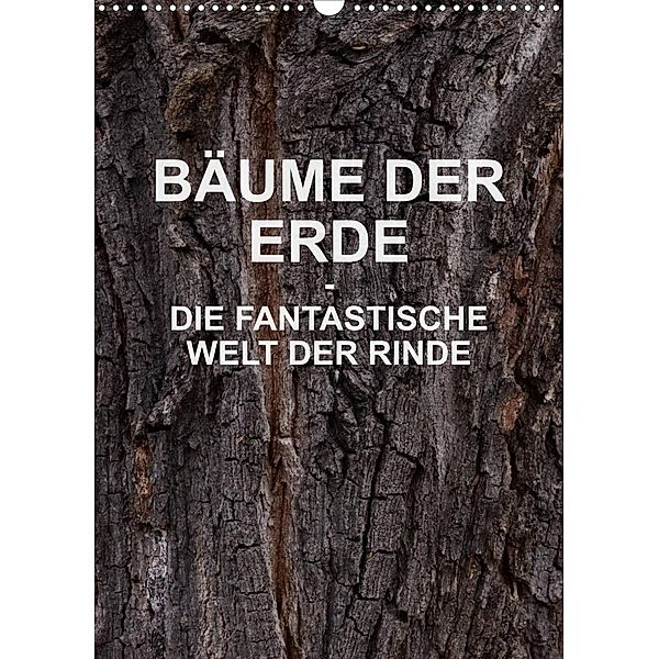 BÄUME DER ERDE - DIE FANTASTISCHE WELT DER RINDE (Wandkalender 2023 DIN A3 hoch), Martin Schreiter
