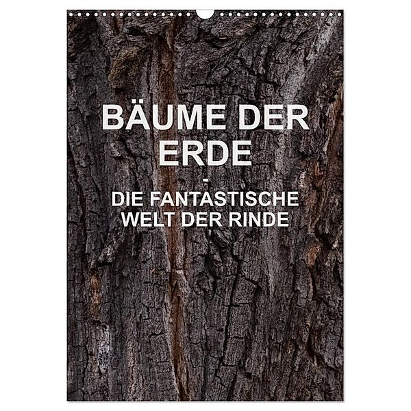 BÄUME DER ERDE - DIE FANTASTISCHE WELT DER RINDE (Wandkalender 2024 DIN A3 hoch), CALVENDO Monatskalender, Martin Schreiter