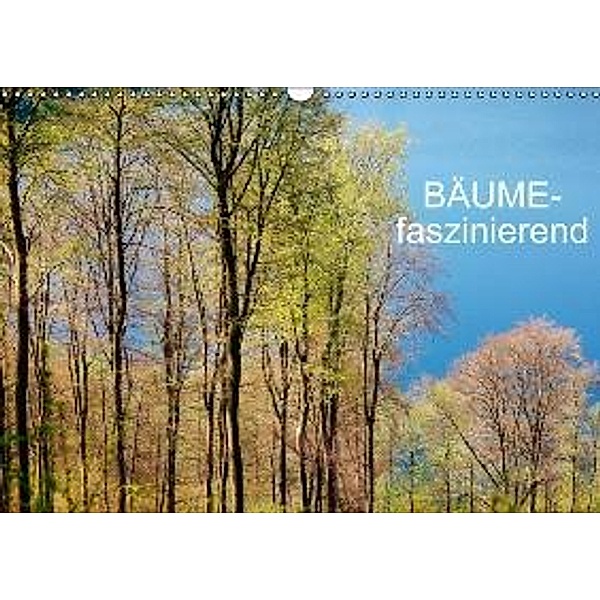 Bäume-faszinierend (AT-Version) (Wandkalender 2015 DIN A3 quer), Thomas Jäger