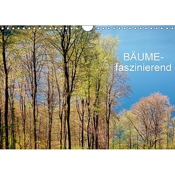 Bäume-faszinierend (Wandkalender 2018 DIN A4 quer), Thomas Jäger