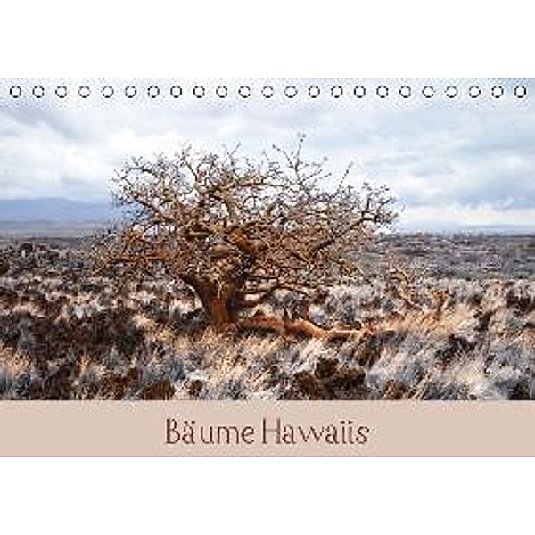 Bäume Hawaiís (Tischkalender 2015 DIN A5 quer), Crystall Lights by Sylvia Ochsmann