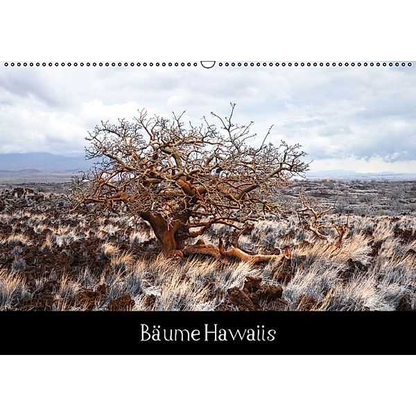 Bäume Hawaiís (Wandkalender 2014 DIN A2 quer), Sylvia Ochsmann