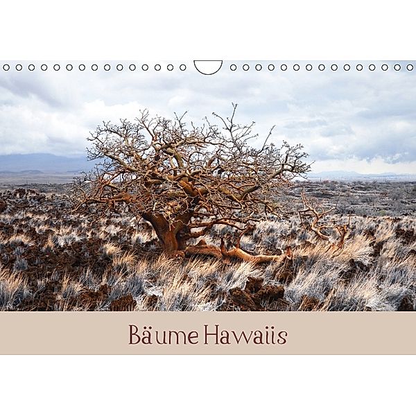 Bäume Hawaiis (Wandkalender 2018 DIN A4 quer), Sylvia Seibl