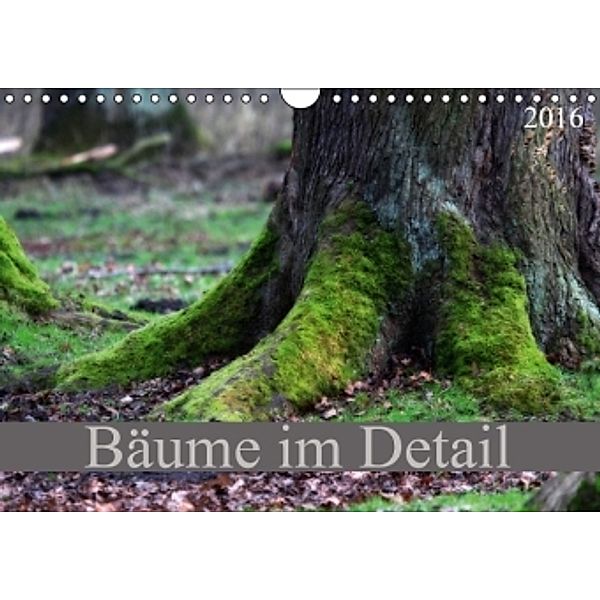 Bäume im Detail (Wandkalender 2016 DIN A4 quer), SchnelleWelten