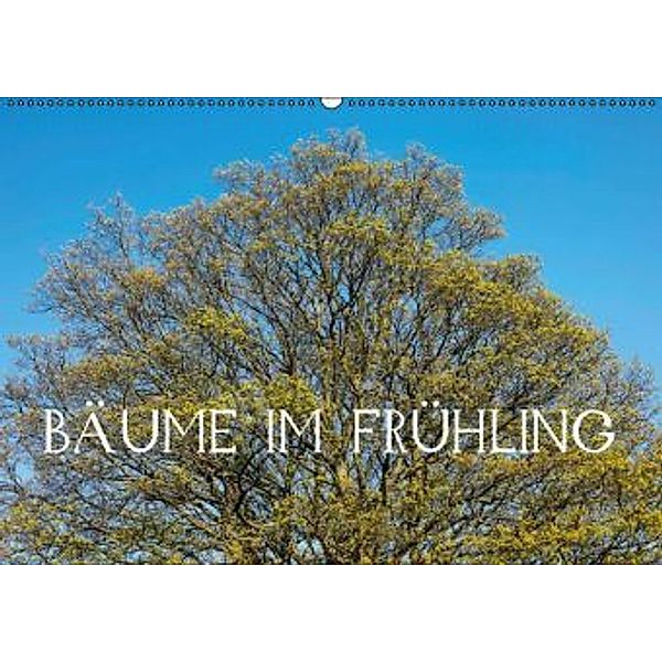 Bäume im Frühling / CH-Version (Wandkalender 2016 DIN A2 quer), Thomas Jäger