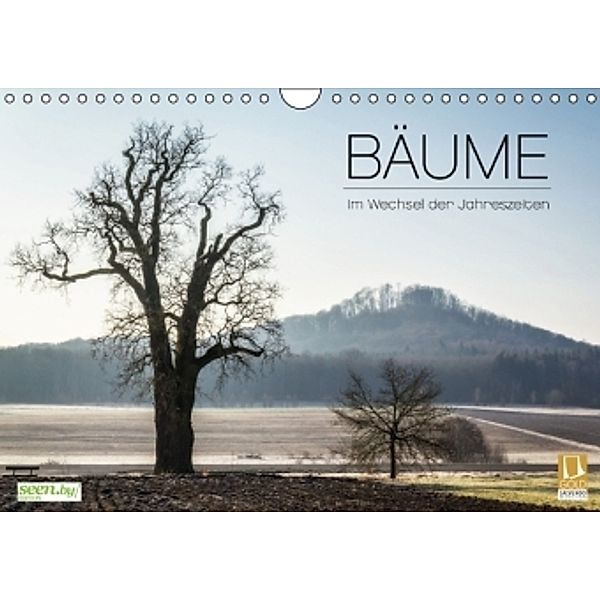 BÄUME - Im Wechsel der Jahreszeiten (Wandkalender 2016 DIN A4 quer), Heiko Gerlicher