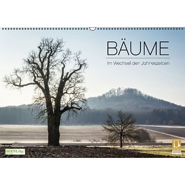 BÄUME - Im Wechsel der Jahreszeiten (Wandkalender 2016 DIN A2 quer), Heiko Gerlicher