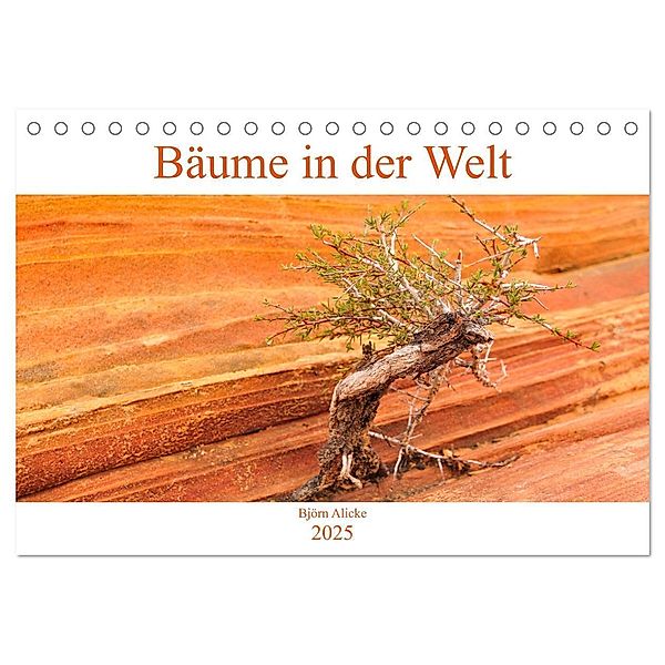 Bäume in der Welt (Tischkalender 2025 DIN A5 quer), CALVENDO Monatskalender, Calvendo, Björn Alicke