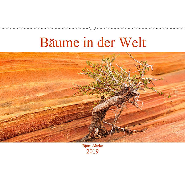 Bäume in der Welt (Wandkalender 2019 DIN A2 quer), Björn Alicke