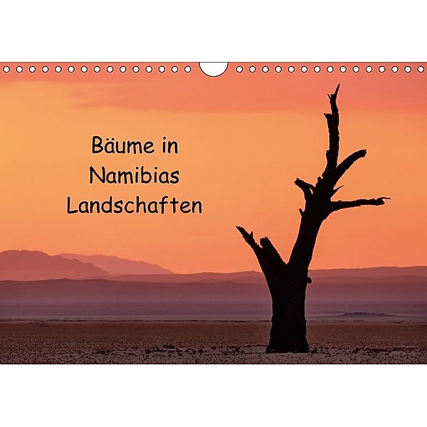 Bäume in Namibias Landschaften (Wandkalender 2018 DIN A4 quer), Anne Berger