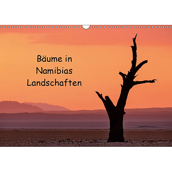 Bäume in Namibias Landschaften (Wandkalender 2019 DIN A3 quer), Anne Berger