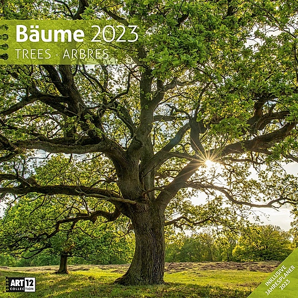 Bäume Kalender 2023 - 30x30, Ackermann Kunstverlag