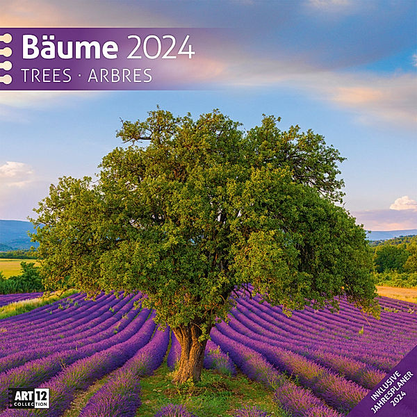 Bäume Kalender 2024 - 30x30, Ackermann Kunstverlag
