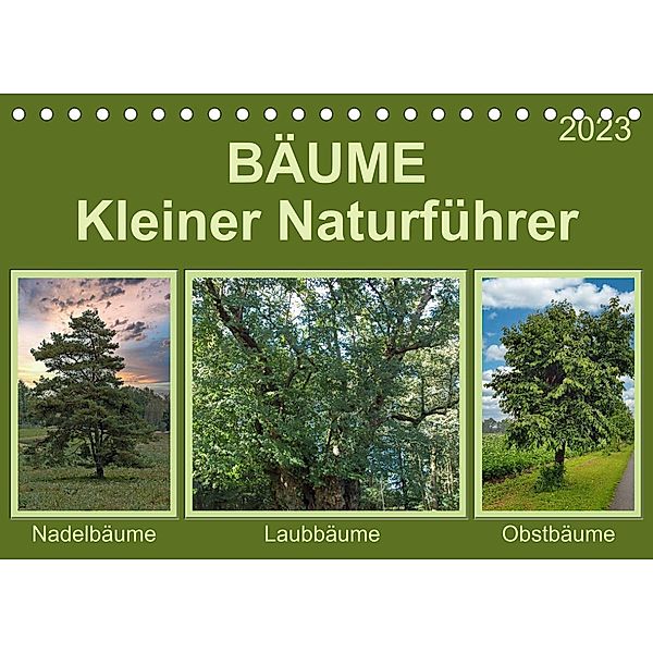 Bäume Kleiner Naturführer (Tischkalender 2023 DIN A5 quer), Claudia Kleemann