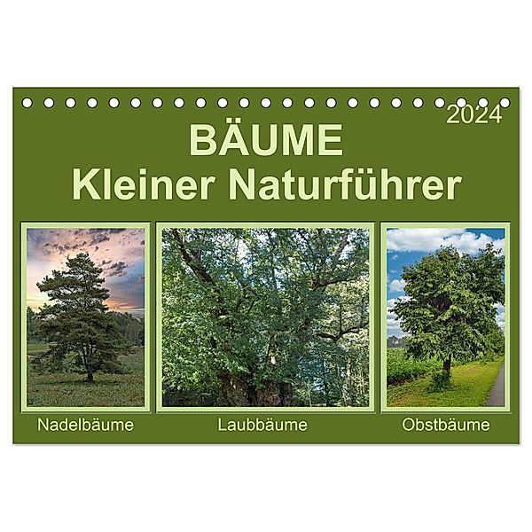 Bäume Kleiner Naturführer (Tischkalender 2024 DIN A5 quer), CALVENDO Monatskalender, Claudia Kleemann