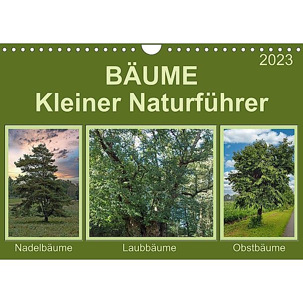 Bäume Kleiner Naturführer (Wandkalender 2023 DIN A4 quer), Claudia Kleemann