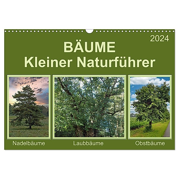 Bäume Kleiner Naturführer (Wandkalender 2024 DIN A3 quer), CALVENDO Monatskalender, Claudia Kleemann