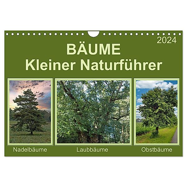 Bäume Kleiner Naturführer (Wandkalender 2024 DIN A4 quer), CALVENDO Monatskalender, Claudia Kleemann