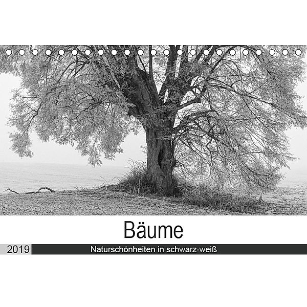 Bäume - Naturschönheiten in schwarz-weiß (Tischkalender 2019 DIN A5 quer), Angelika Beuck