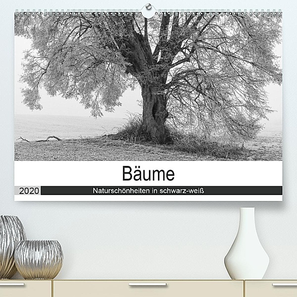 Bäume - Naturschönheiten in schwarz-weiß(Premium, hochwertiger DIN A2 Wandkalender 2020, Kunstdruck in Hochglanz), Angelika Beuck
